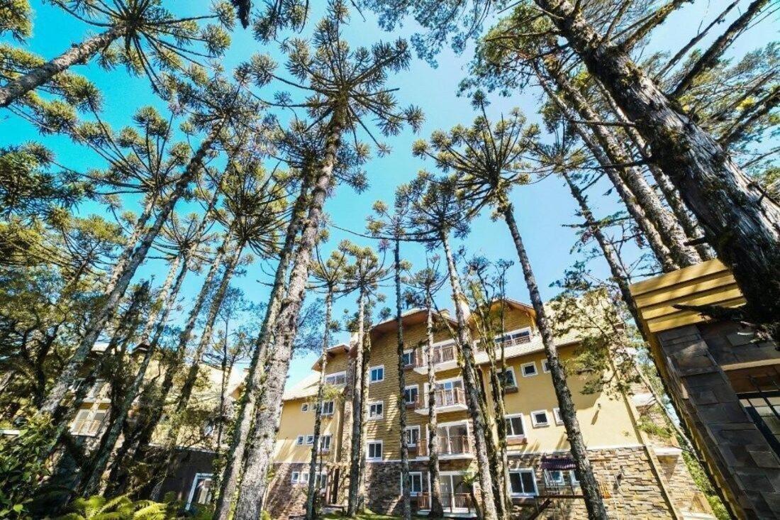 103/3 Apto Com Piscina Aquecida Gramado Eksteriør billede
